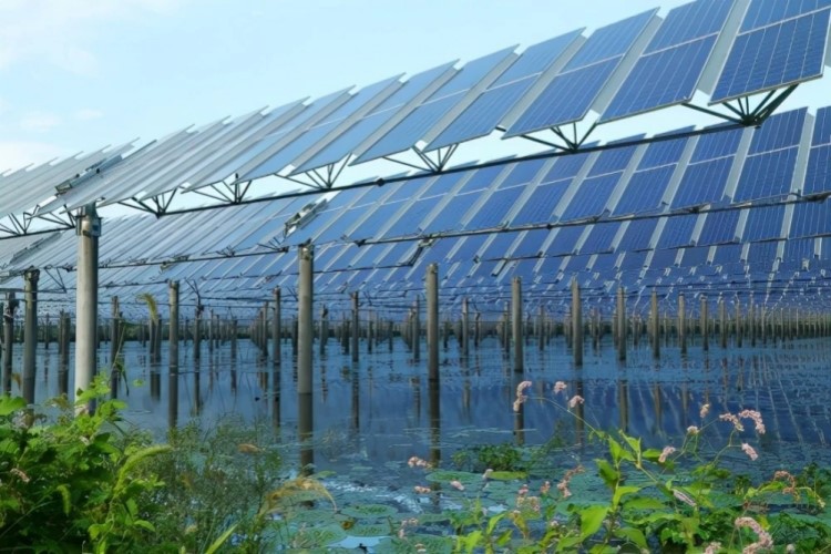 International Photovoltaic International Photovoltaic